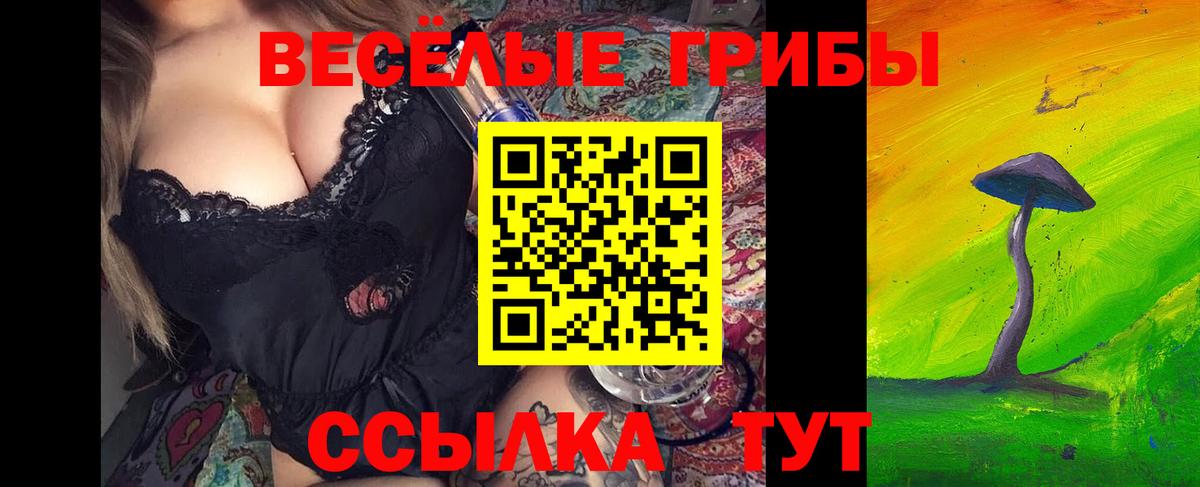 Димитровград  Псилоцибиновые грибы Magic Shrooms  Вход с VPN 